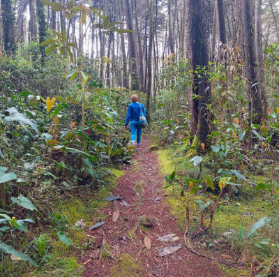 Encounter with Nature and your Christ Self